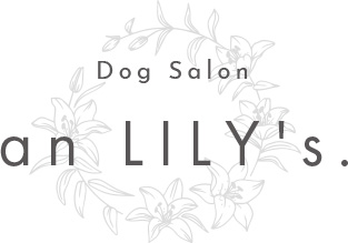 Dog Salon an LILY's.